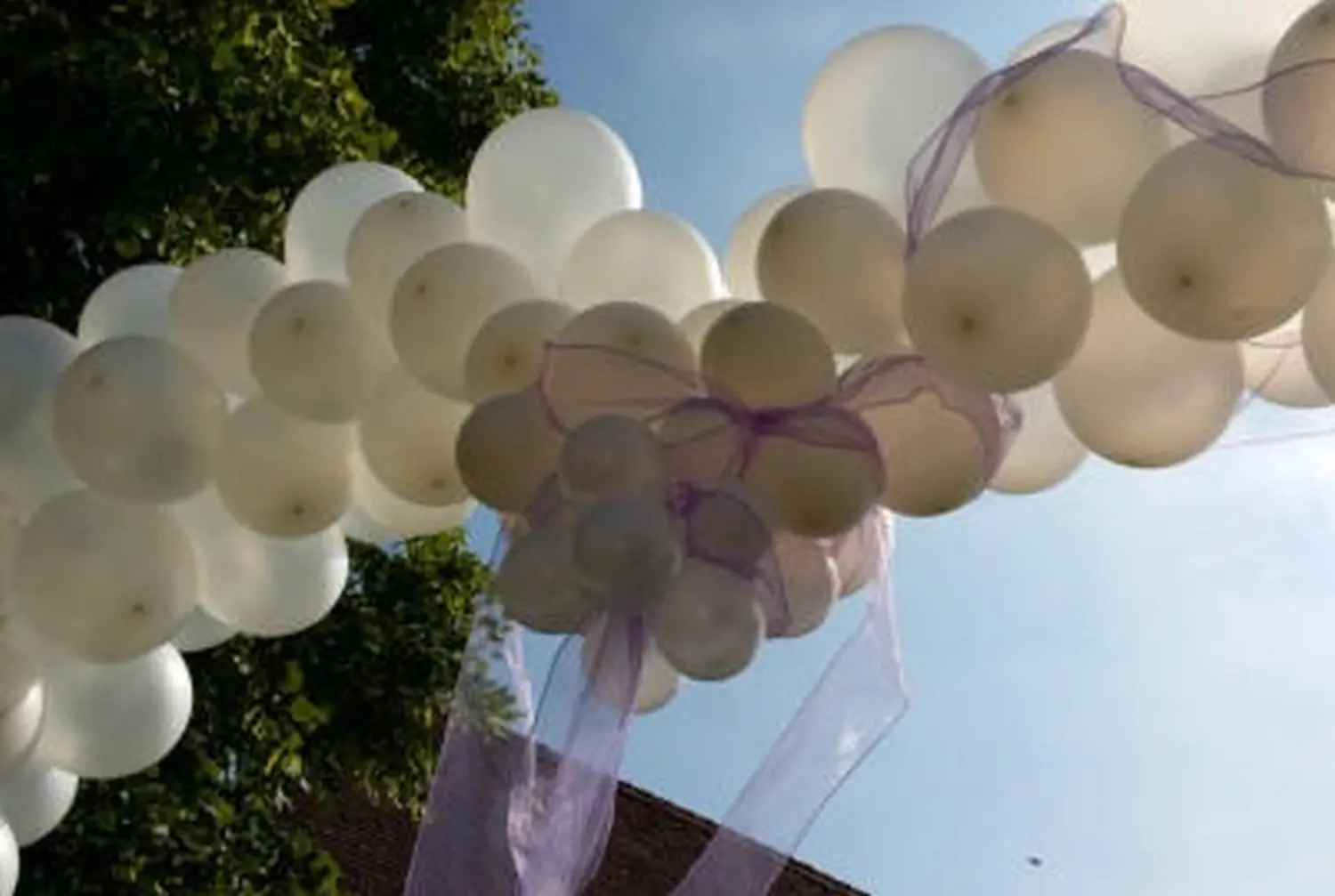 Weiße Luftballons mit lila Schleifen im Freien