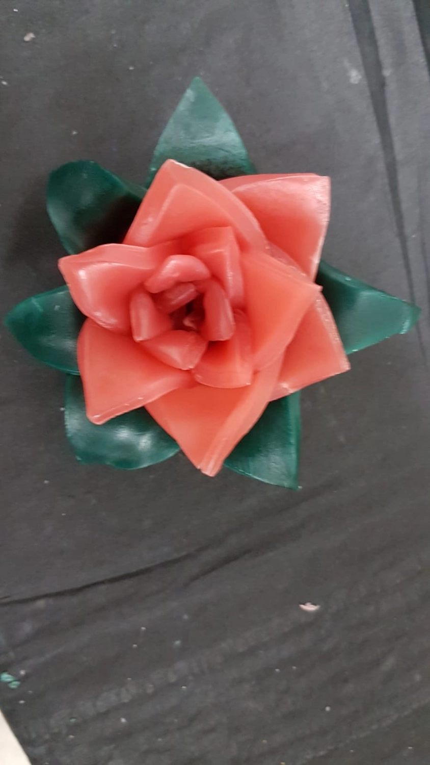 Moments Veranstaltungsagentur - Wachsblume in Rosa mit Blättern