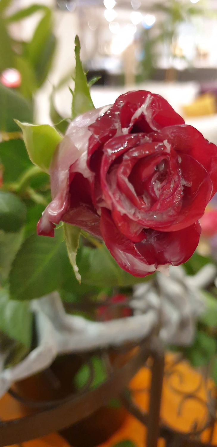 Moments Veranstaltungsagentur - rote Rosenkerze